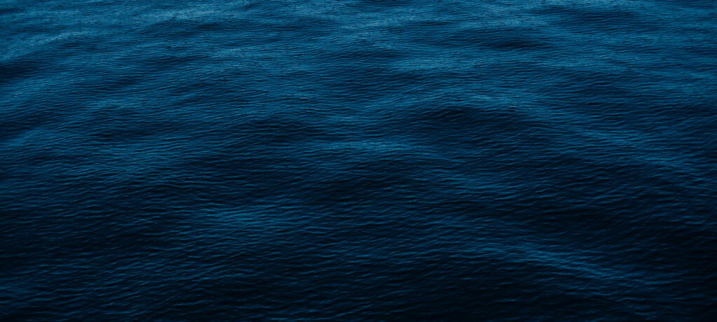 Peter Orins, Christian Pruvost, Kasper Toeplitz and Barbara Dang performing