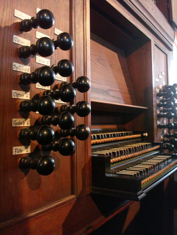 organ